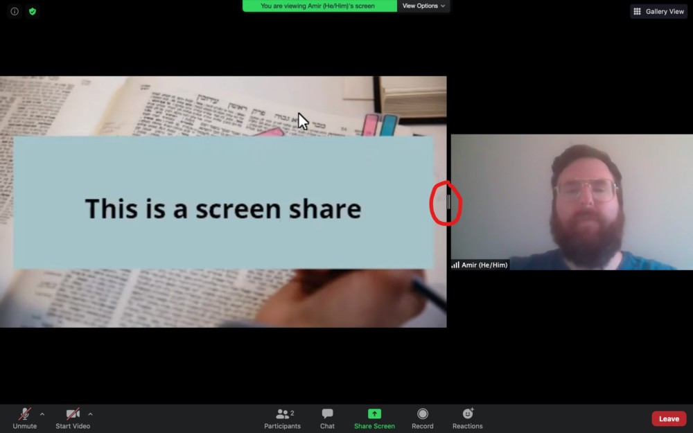 A screen shot of a zoom meeting with screen share on. The bar that controls the size of the shared screen is circled in red.